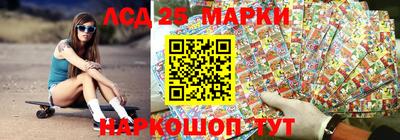 шишки Новодвинск