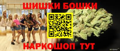 шишки Новодвинск