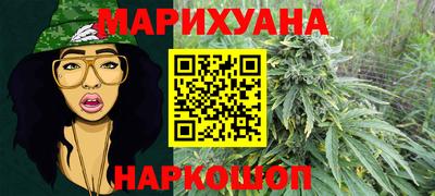 шишки Новодвинск