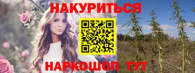 шишки Новодвинск