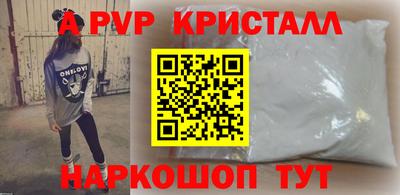 шишки Новодвинск