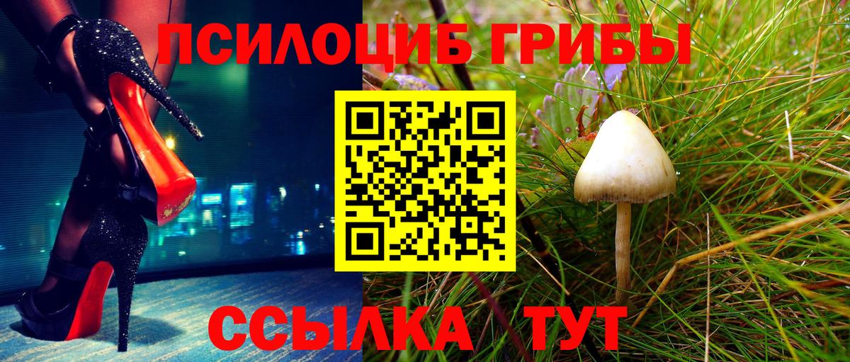 Галлюциногенные грибы Magic Shrooms Южно-Сахалинск