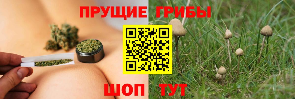 закладки  Псилоцибиновые грибы GOLDEN TEACHER  Вход с VPN  Южно-Сахалинск 